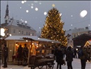 Christmas Market in Tallinn